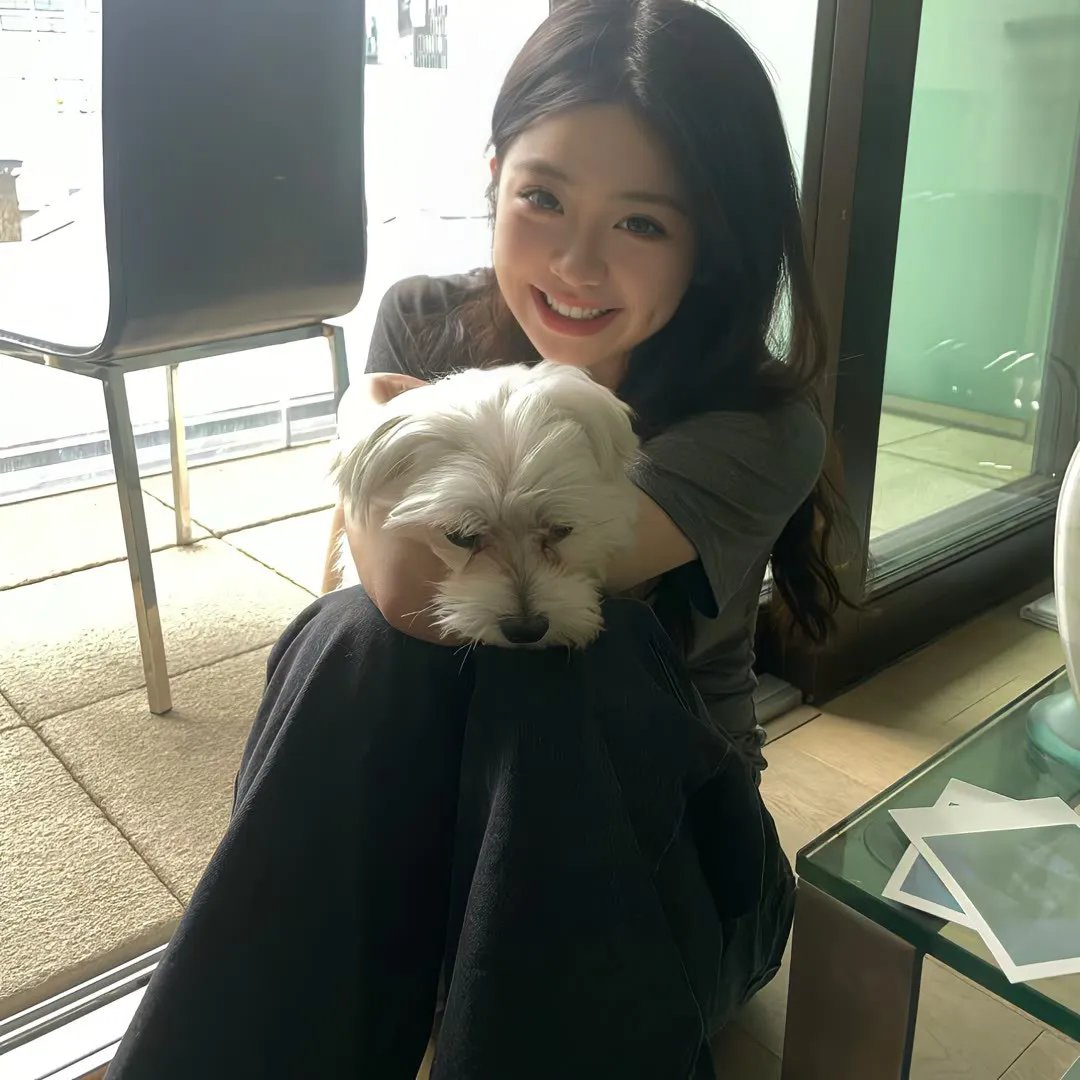 天降暖暖照柳时